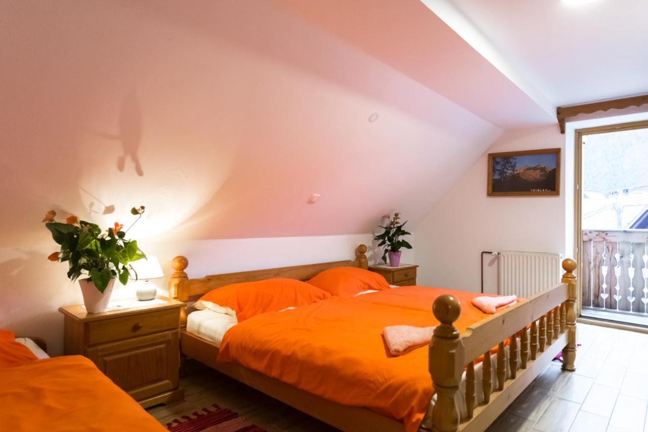 Apartment Ivanka Cvetek Bohinj Luaran gambar
